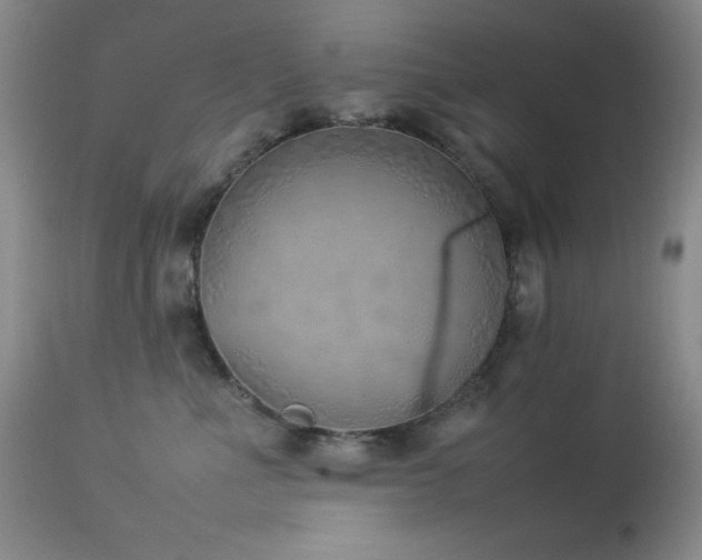 X0000114220523200910091350