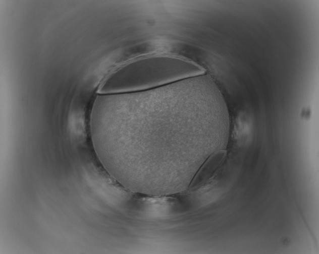 X0000114220524200910091350