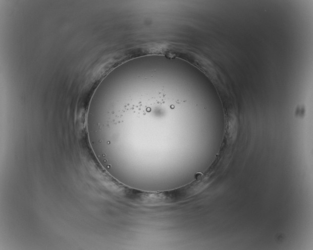 X0000114220525200910091350