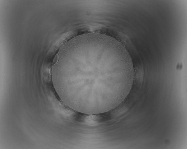 X0000114220527200910091350