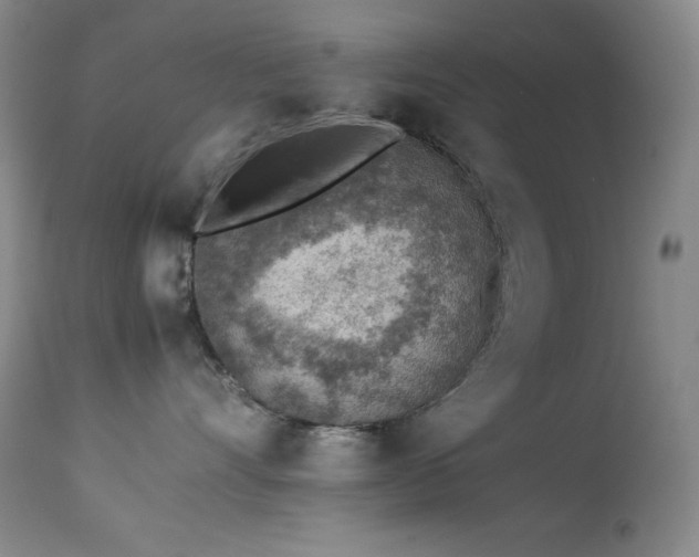 X0000114220528200910091350