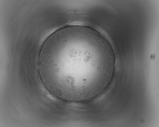 X0000114220529200910091349