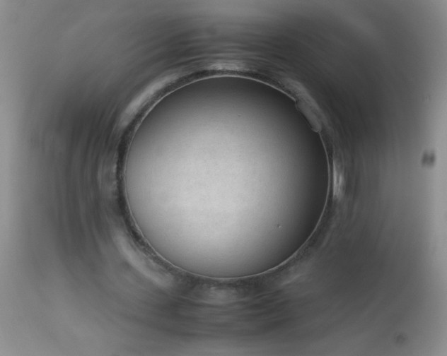 X0000114220531200910091349