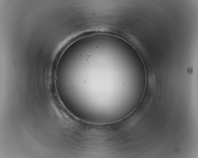 X0000114220532200910091349