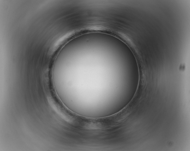 X0000114220535200910091349