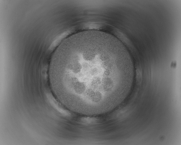 X0000114220537200910091349