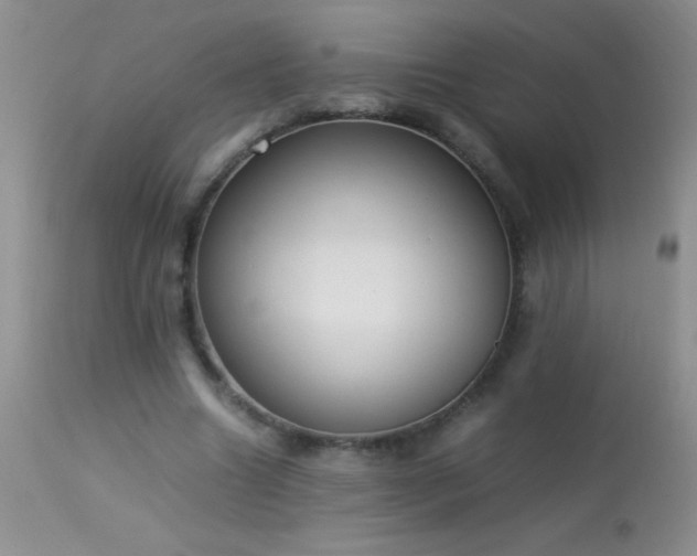 X0000114220538200910091349