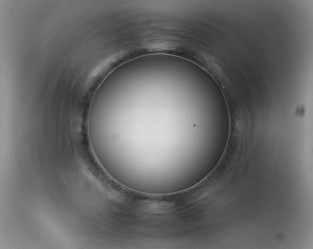 X0000114220539200910091350