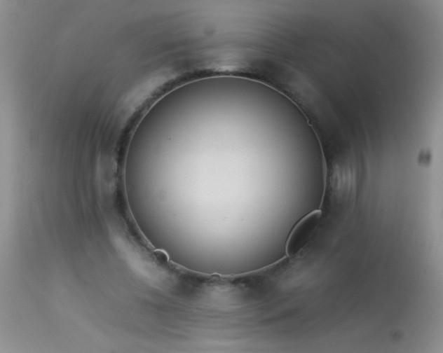 X0000114220540200910091350