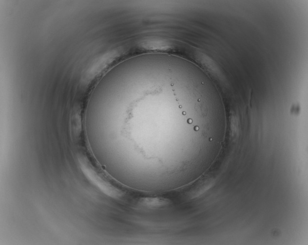 X0000114220541200910091350