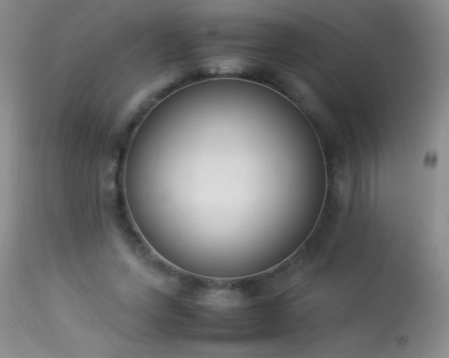 X0000114220543200910091350