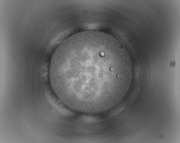 X0000114220545200910091350