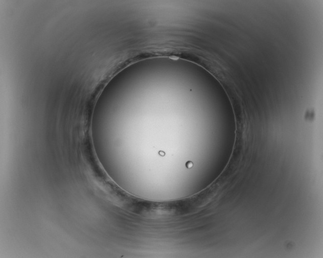 X0000114220546200910091350