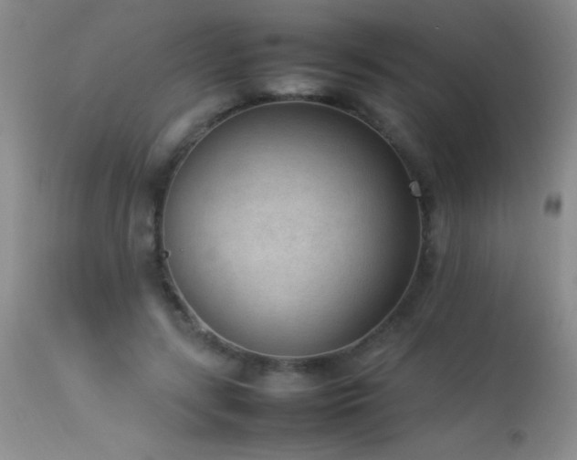 X0000114220547200910091350