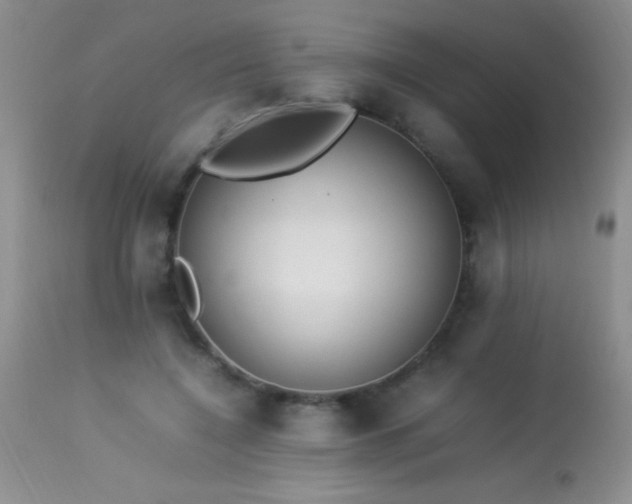 X0000114220548200910091350