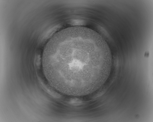 X0000114220549200910091350