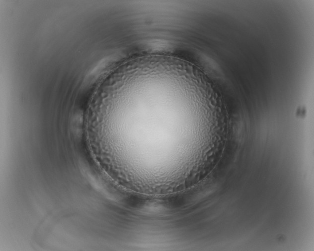 X0000114220550200910091350