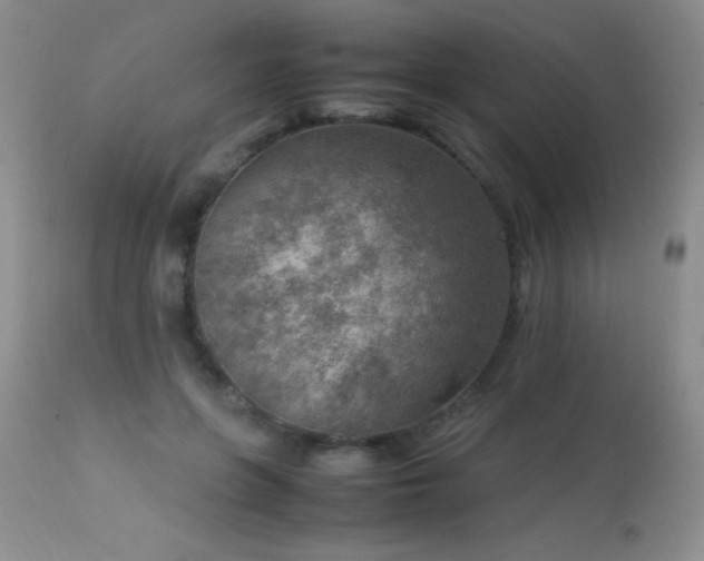 X0000114220551200910091350