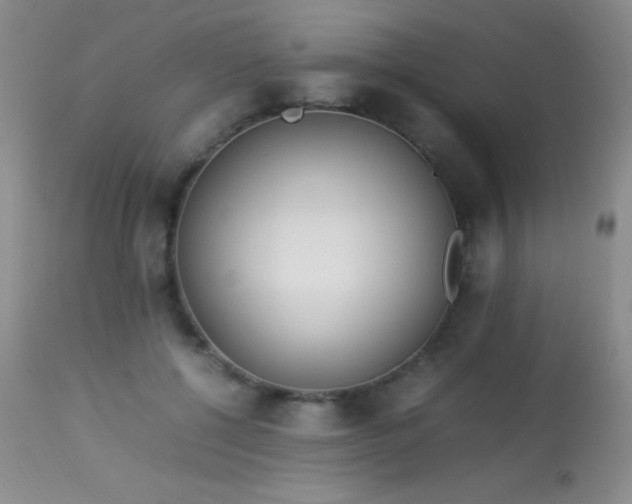 X0000114220552200910091350