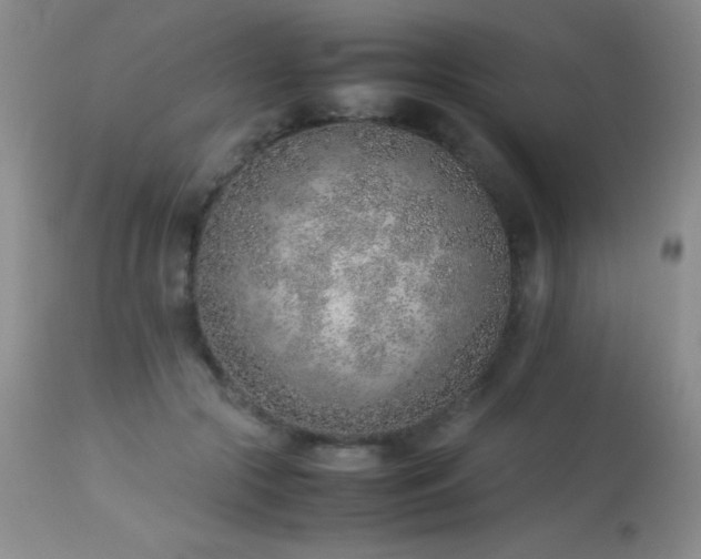 X0000114220553200910091350