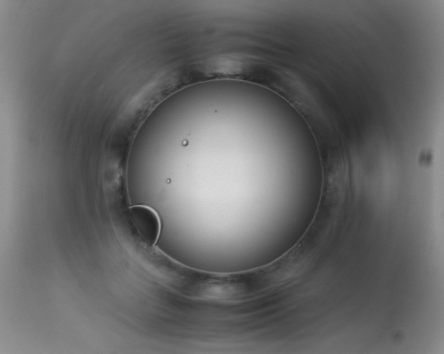 X0000114220555200910091350