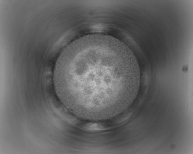 X0000114220557200910091350