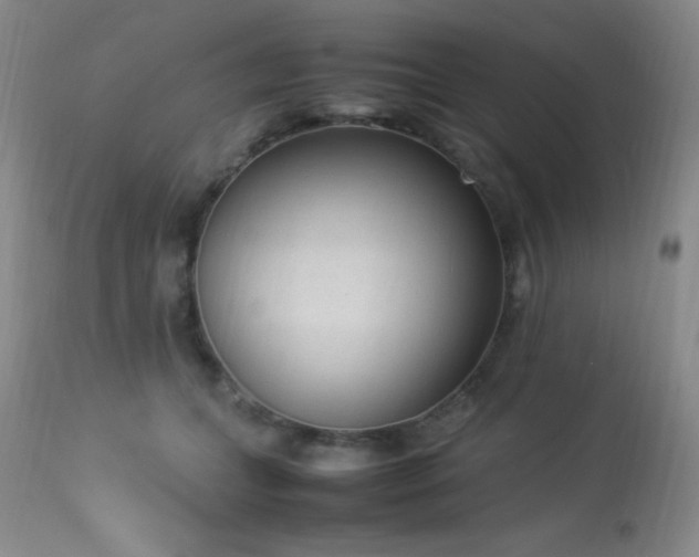 X0000114220559200910091350