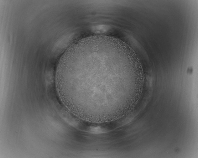 X0000114220561200910091350