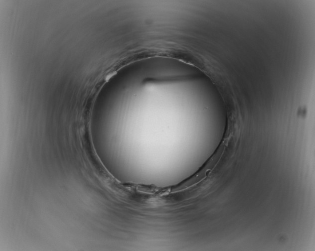 X0000114220562200910091350