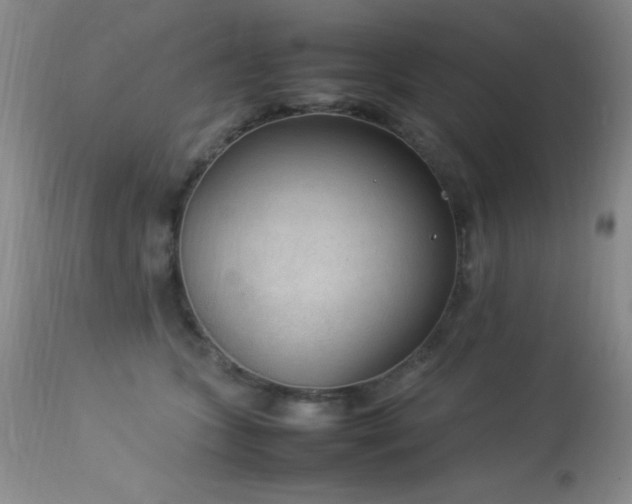 X0000114220563200910091350