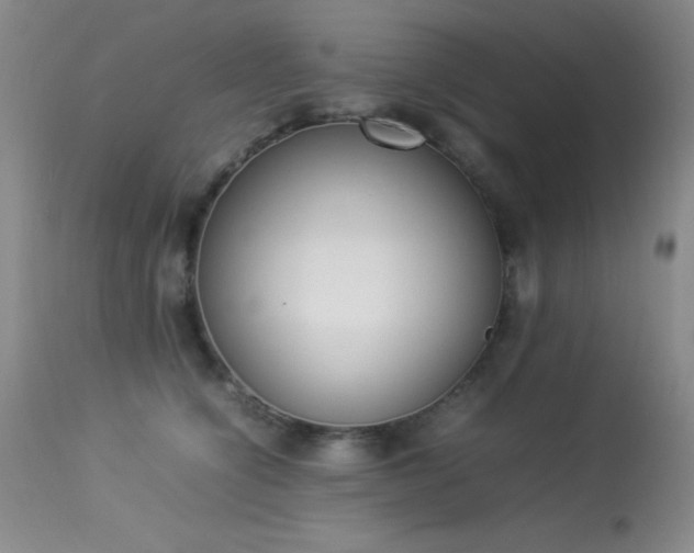 X0000114220564200910091350