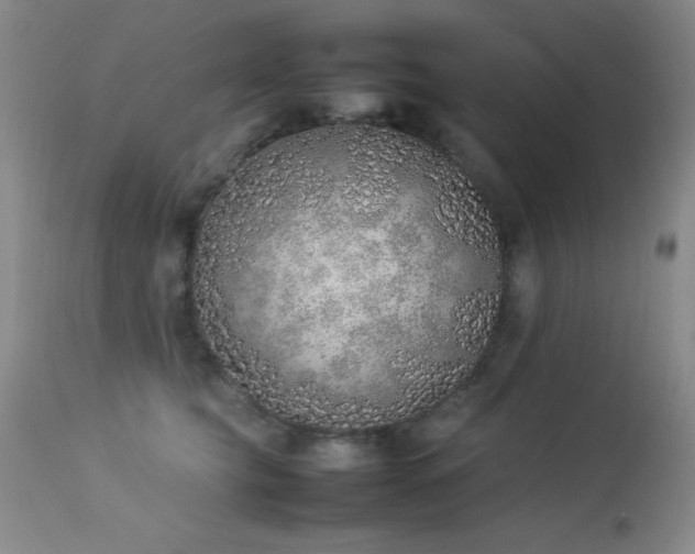 X0000114220565200910091350