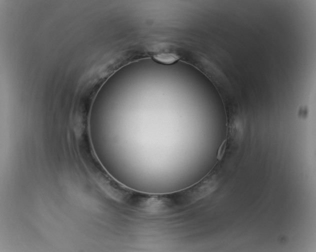 X0000114220566200910091350