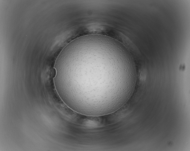 X0000114220567200910091350