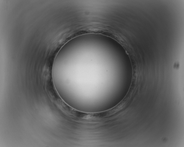 X0000114220568200910091350