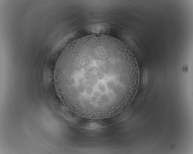 X0000114220569200910091350