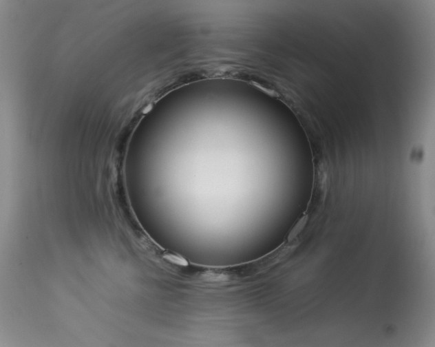 X0000114220570200910091350