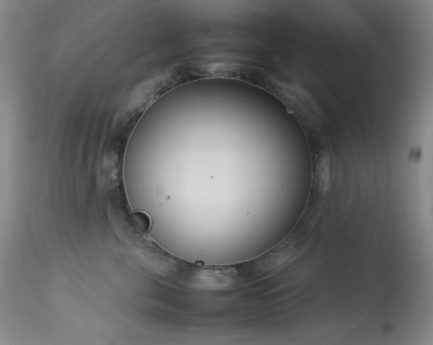 X0000114220571200910091350