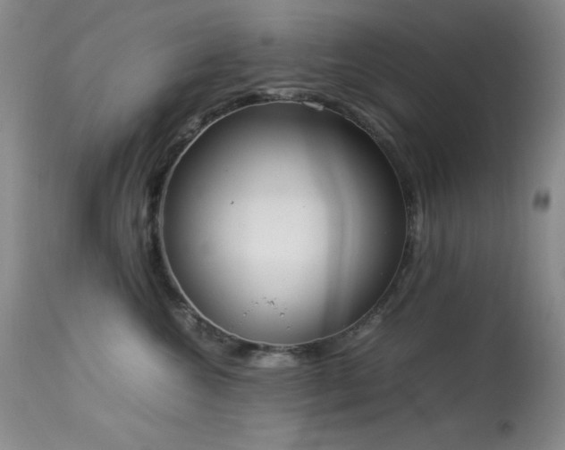 X0000114220572200910091350