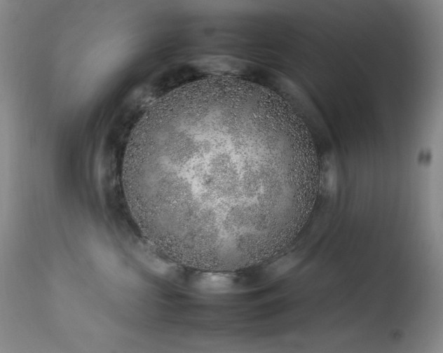 X0000114220573200910091350