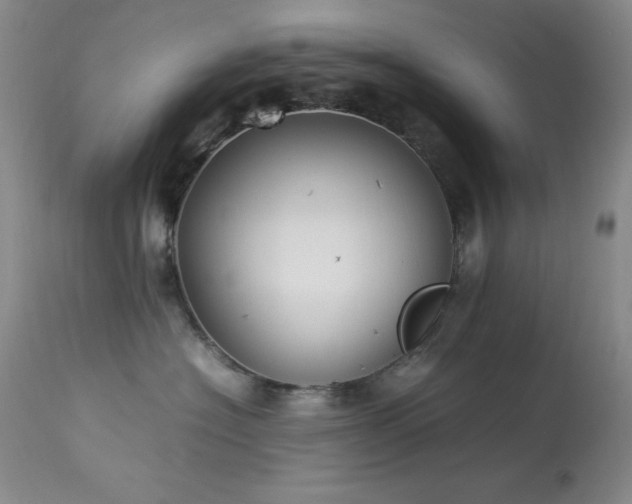 X0000114220574200910091350