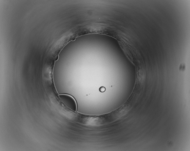 X0000114220575200910091350