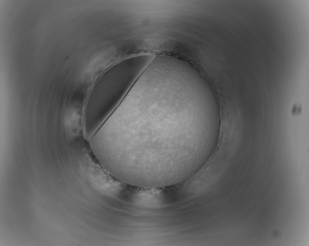 X0000114220576200910091350