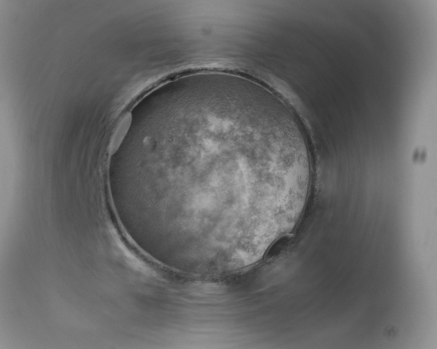 X0000114220577200910091349