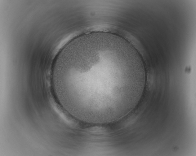 X0000114220578200910091349