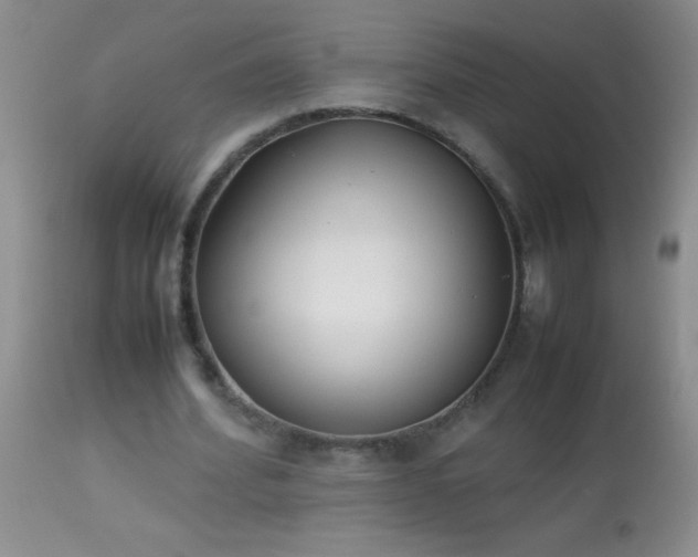 X0000114220580200910091349