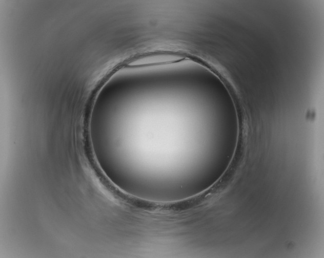 X0000114220581200910091349