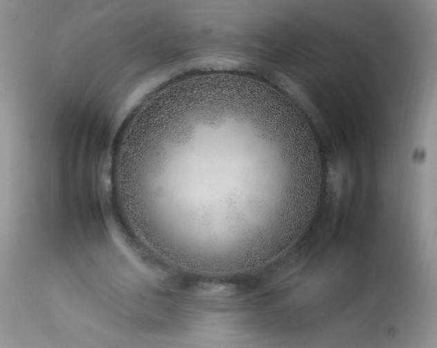 X0000114220582200910091349