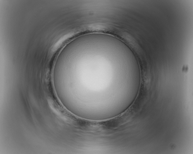 X0000114220583200910091349