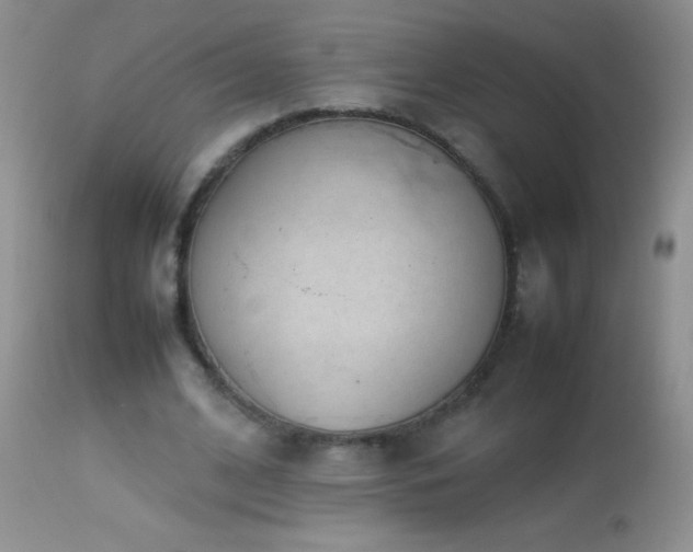 X0000114220584200910091349